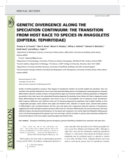 genetic divergence along the speciation continuum: the transition