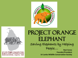 Project Orange Elephant, Saving Elephants by Helping People