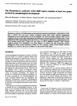 The Streptomyces coeficofor A3(2) bGdB region contains at least