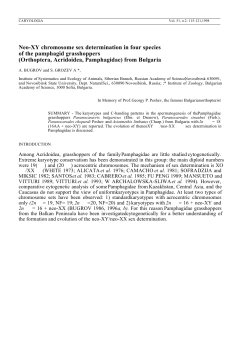 Neo-XY chromosome sex determination in four species of the