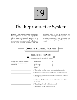 The Reproductive System