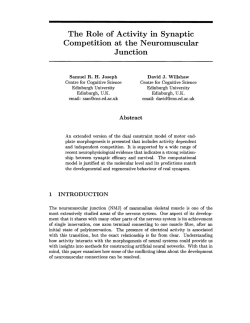 The Role of Activity in Synaptic Competition at the Neuromuscular