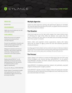Multiple Agencies The Situation The Process Government CASE