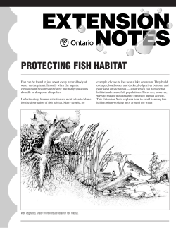 Protecting Fish Habitat - LandOwner Resource Centre