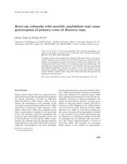 Root-cap columella with movable amyloplasts may cause