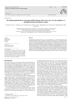 The Italian peninsula hosts a divergent mtDNA lineage of the water