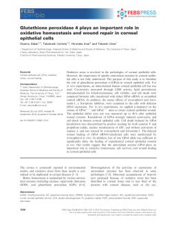 Glutathione peroxidase 4 plays an important role in oxidative