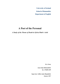 H&aacute;sk&oacute;li &Iacute;slands