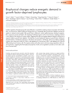Biophysical changes reduce energetic demand in growth factor