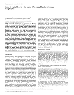 Lysis of whole blood in vitro causes DNA strand breaks in human