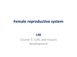 Female reproductive system