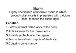 Highly specialized connective tissue in which ground substance is