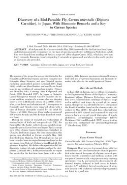 Discovery of a Bird-Parasitic Fly, Carnus orientalis (Diptera