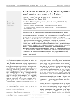 Kazachstania siamensis sp. nov., an ascomycetous yeast species