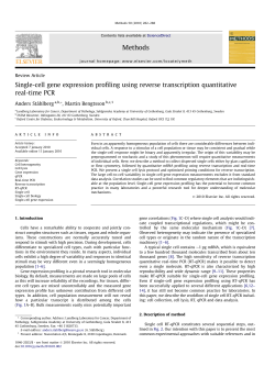 Single-cell gene expression profiling using reverse transcription