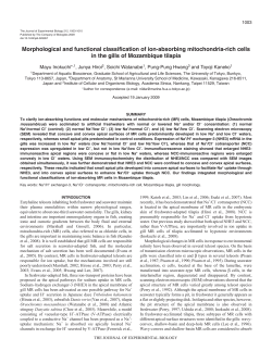 25 - Journal of Experimental Biology