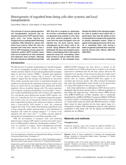 Heterogeneity of engrafted bone-lining cells after systemic and local