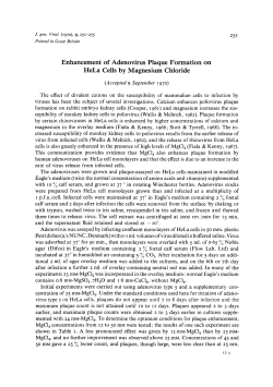 Enhancement of Adenovirus Plaque Formation on HeLa Cells by