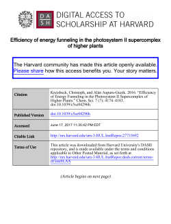 Efficiency of energy funneling in the photosystem II supercomplex of