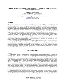 forest species classification and tree crown delineation