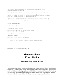 Franz Kafka`s Novella The Metamorphosis