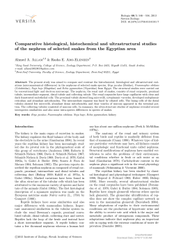 Comparative histological, histochemical and