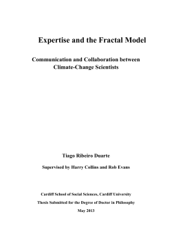 Tiago Ribeiro Duarte - PhD Thesis 2013 - ORCA