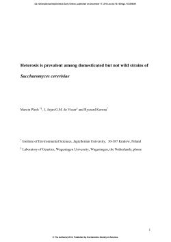 Heterosis is prevalent among domesticated but not wild strains of