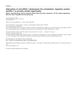 Attenuation of microRNA-1 derepresses the cytoskeleton regulatory