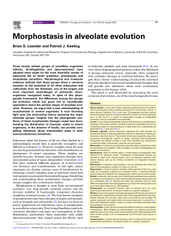 Morphostasis in alveolate evolution - UBC Botany