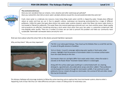 FISH ON DRAINS - The Kokopu Challenge Level 2-4