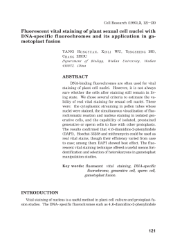 Fluorescent vital staining of plant sexual cell nuclei with