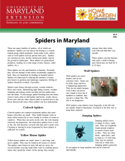 Spiders in Maryland - University of Maryland Extension