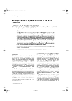 Mating system and reproductive skew in the black rhinoceros
