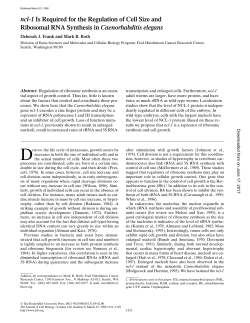 ncl-1 Is Required for the Regulation of Cell Size and Ribosomal