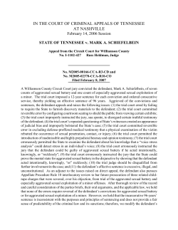 STATE OF TENNESSEE v. MARK A. SCHIEFELBEIN
