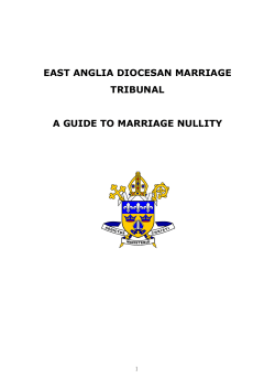 Guide to Marriage Nullity