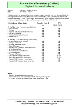 Private Shore Excursions ( Guided )