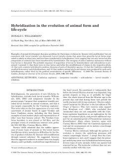 Hybridization in the evolution of animal form and life