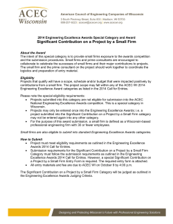 Significant Contribution on a Project by a Small Firm
