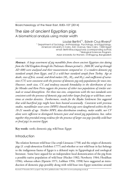 The size of ancient Egyptian pigs. A biometrical analysis using molar