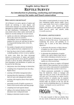 Froglife Advice Sheet 9