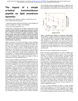 The impact of a simple &alpha; helical transmembrane peptide on lipid