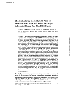 Effects of Altering the ATP/ADP Ratio on Pump