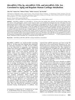 MicroRNA199a3p, microRNA193b, and microRNA320c are