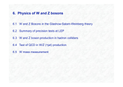 6. Physics of W and Z bosons