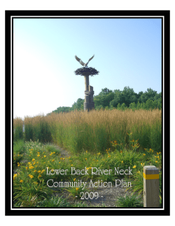 Lower Back River Neck Community Action Plan