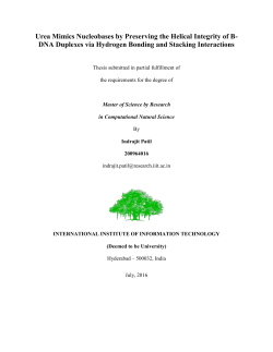 DNA Duplexes via Hydrogen Bonding and Stacking