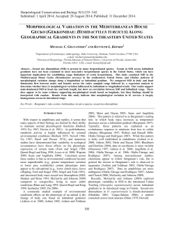 morphological variation in the mediterranean house gecko