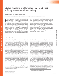 Distinct functions of chloroplast FtsZ1 and FtsZ2 in Z